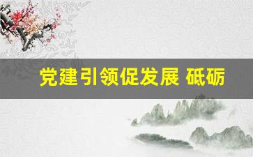 党建引领促发展 砥砺前行_党建经验交流材料2023